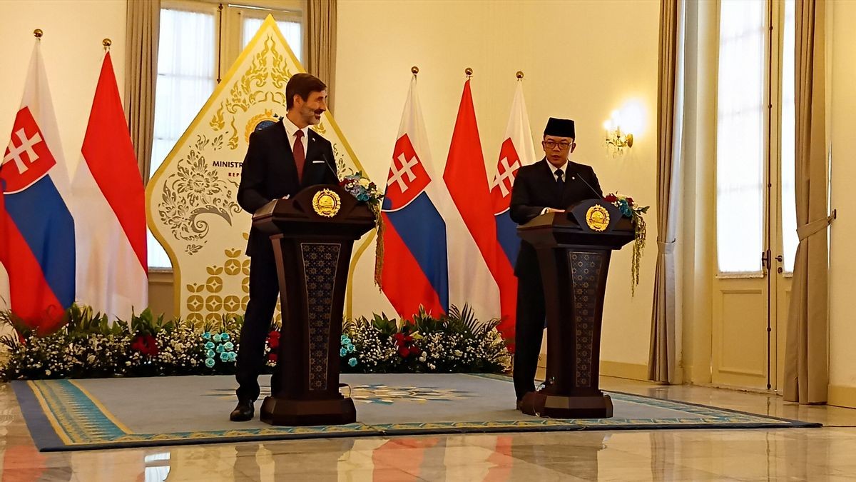 斯洛伐克外交部长Juraj Blanar：愿意与正在计划建造核电厂的印度尼西亚合作