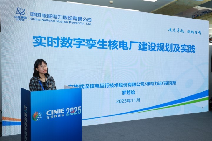 �к��人�˵����м����ɷ����޹�˾/�˶��������о����޷��棺ʵʱ���������˵糧����滮��ʵ��