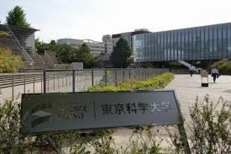 �ձ��з���������Wi-FiоƬ�������˵�վ���ۻ�������ҵ