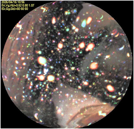 福岛第一核电站2号反应堆探测：压力容器内壁无重大损坏且存大量燃料