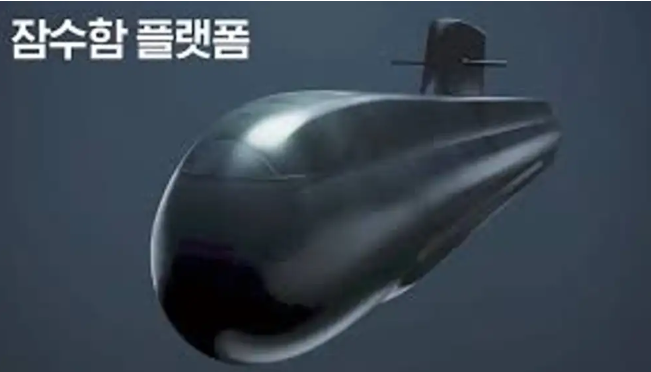 韩国正式启动